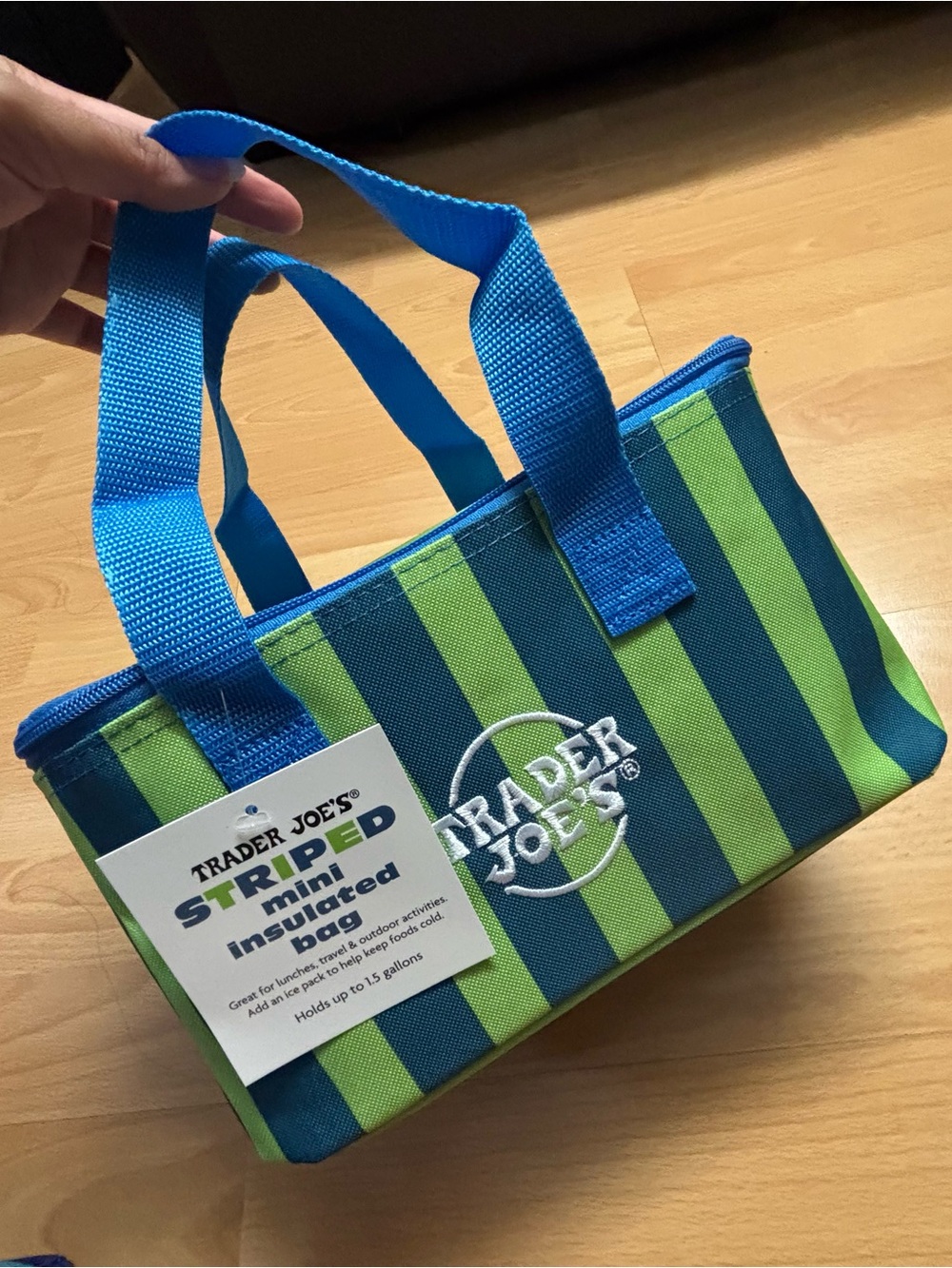 Trader Joe's Blue and Green Striped Mini Insulated Bag